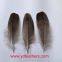 Grey Goose Feather for Wholesale From China