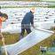 non-woven mulch cover factory