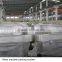 manufacturer supply glass edge grinding machine