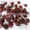 low calorie dried cherry