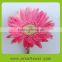 Supply high quality Gerbera cut flower with reasonable price and fast delivery on hot selling