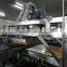 Guqiao Brand Muffin Cake Making Machine