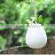 Modern white small ceramic flower pot with rope