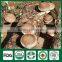 Dried Shiitake Mushrooms,Fresh Shiitake Mushrooms,Mushroom Seeds For Sale