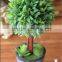 2015 newly plastic round Artificial grass ball with trunk Artificial topiary ball for table decoration