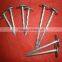 fast sell thickness 3.4mm galvanized roofing nails