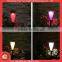 solar led light in garden