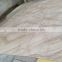 travertine tile travertine slab price beige travertine marble price                        
                                                Quality Choice