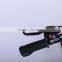 20inch 250W 36V Foldable Lithium Battery Power electric urban road bicycle
