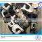 ANCHOR SWIVEL SHACKLE