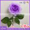 Promotion Artificial Flower Rose Heads for Flower Wall