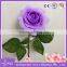 Real touch rose flower heads 6-7cm
