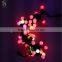 LED Hanging Ball String Lights