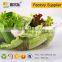 Food Use and Plastic PET Material take away salad box fruit bowl with lid