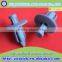 car accessories auto clips and plastic fasteners in China