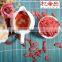 Ningxia Dried Red Fruit gojiberry/goji berry in bulk