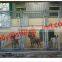 pet cages dog kennels dog crate