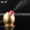 Electric rechargeable nano hot fine mist sprayer/steamer for facial deep cleaning/facial moisturing