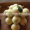 good taste and high quality crown pear from hebei