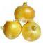 Egyptian Onion