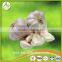 2016 Fresh Garlic - new arrival, hot sales