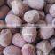 VIETNAMESE SUPPLIER OF RED LOTUS SEEDS BEST PRICE