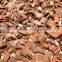 SQUARE CUT CASSIA/ CINNAMON