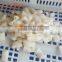 FGB-118 Auomatic Squid Ring Cutting Machine, Squid Rings Slicing Machine, Squid Cutter