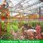 High Quality Aquaponic Commercial Multi-span Greenhouse