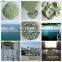 Large Granular Rocks Clinoptilolite Zeolite for bio filter media