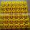 Best Quality Plastic Egg Tray for 30 Chicken Eggs