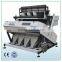 256 channels double side camera rice color sorting machine