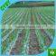 LDPE agriculture black mulch film, Polyethylene mulch film,ldpe mulch film roll