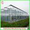 Hot sale multi-span glass 6.4m galvanized steel frame greenhouses for agriculture