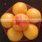 Factory!! Plastic vegetable mesh bag/fruit mesh bag