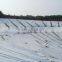 Hot sale HDPE Geomembrane HDPE Sheet .