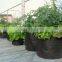 Hydroponics Nonwoven Fabric Pots