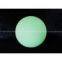 Garden Ball LED Lighting dia50cm/60cm