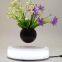 customzie magnetic floating levitation bottom air bonsai pot