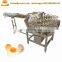 Full stainless steel egg shell removing machine egg separator egg cracking machine
