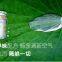 Wholesale mold proof latex paint