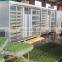 sales promotion soya Bean sprout making machine
