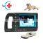 HC-A039V High Resolution Image System Portable Veterinary Ultrasound Scanner Machine