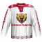 100% polyester fashionable ice hockey jersey with good quality