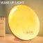 Colorful Portable Sunrise and Sunset Simulation Bedside Lamp Natural Sound Alarm Clock Wake Up Light With Radio, Tap to Snooze