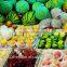 EPE foam plastic net for fruit