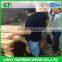 natural B grade keruing/gurjan face veneer 8x4 ft 0.30mm for making plywood face