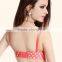 Fashion Push Up function Ladies Spot Sexy Bra Set