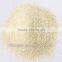 dried garlic granlues16-26mesh