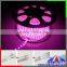 110v 220v LED Rope Strip